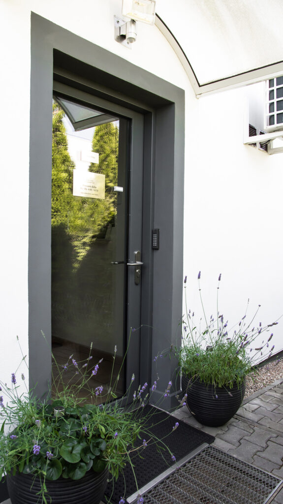 ocelove-dvere-celoprosklene